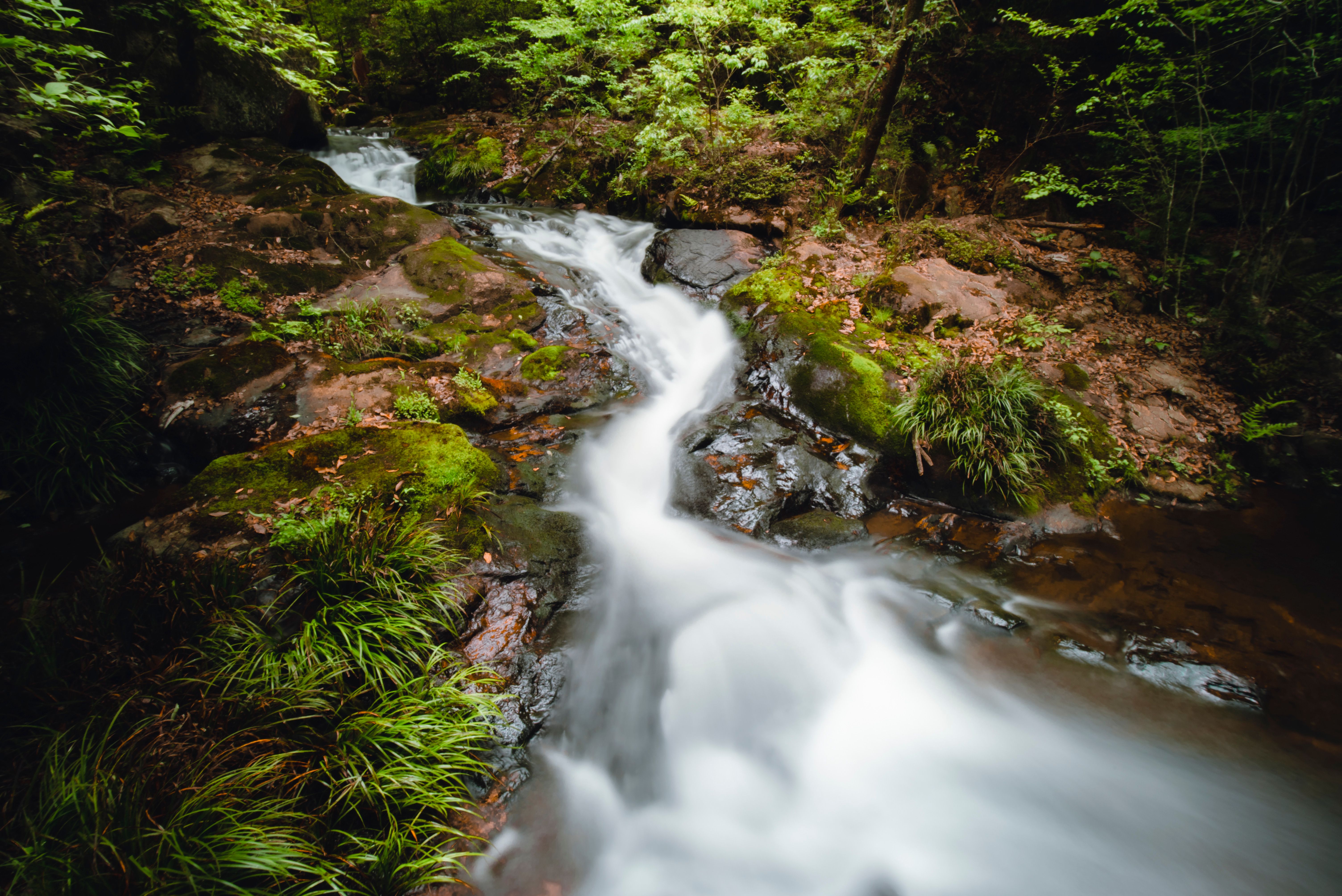 Peaceful%20waterfall%20cascading%20over%20mossy%20rocks%20in%20Uvas%20Canyon's%20lush%20forest%20environment Peaceful waterfall cascading over mossy rocks in Uvas Canyon's lush forest environment